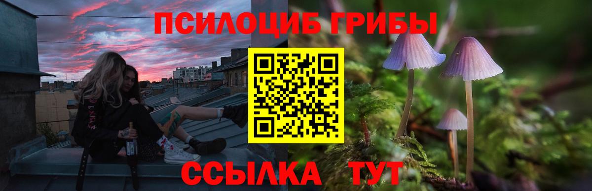 Реж  Галлюциногенные грибы ЛСД  Вход с VPN 